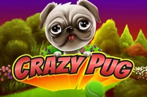 Crazy Pug