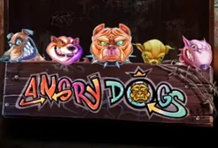 Angry Dogs