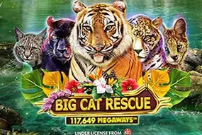Big Cat Rescue Megaways